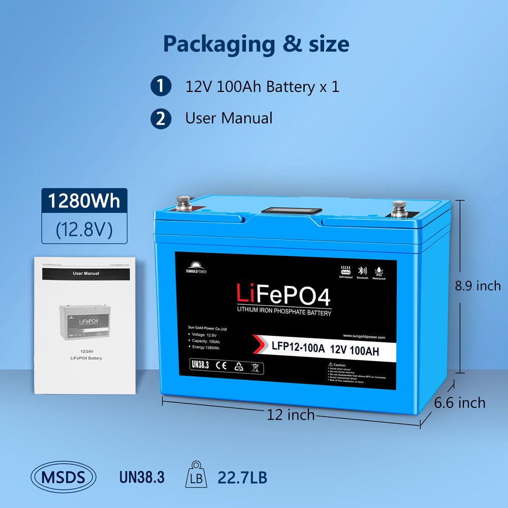 2 X 12V 100AH LiFePO4 Deep Cycle Lithium Battery / Bluetooth /Self-heating / IP65