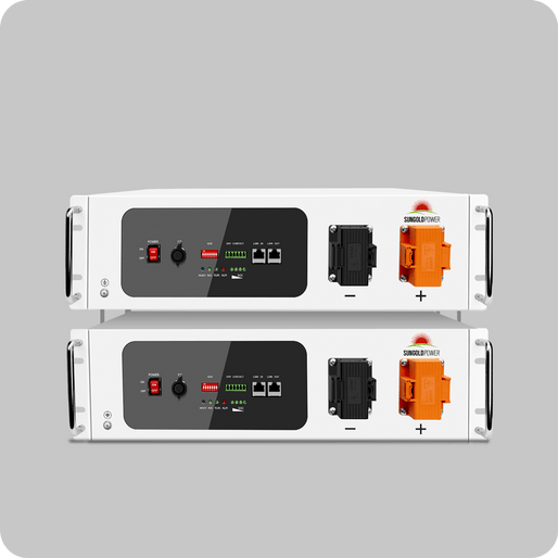 2X SGH48100T Server Rack 48V 100AH Lithium Battery Self-Heating